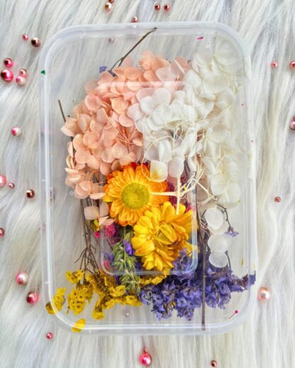 Mix dry flower box in white and blue and yellow colour