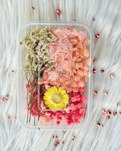 Mix dry flower box in pastel pink and pitch colour
