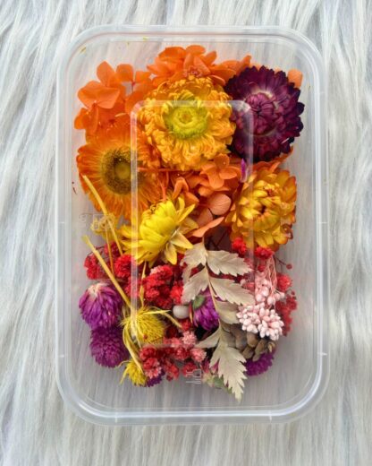 Mix dry flower box in Orange and purole colour