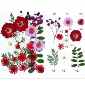 25 In 1 Pressed Flowers Fl065