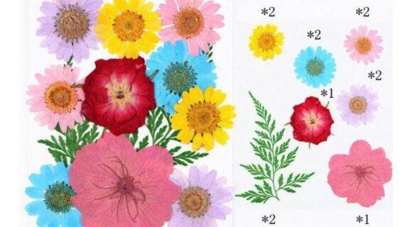 12 In 1 Pressed Flowers Fl024