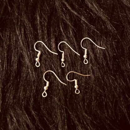 Silver Earing Hook Set of 10