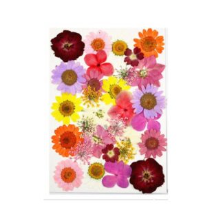 33 In 1 Pressed Flowers Fl098