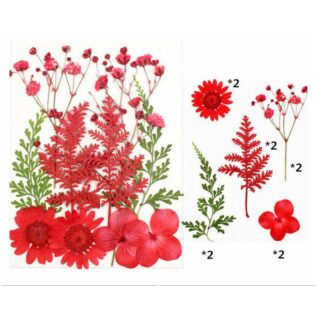 10 In 1 Pressed Flowers