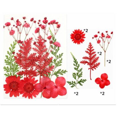 10 In 1 Pressed Flowers