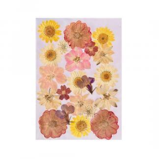 21 in 1 Pressed Flowers For Resin Art