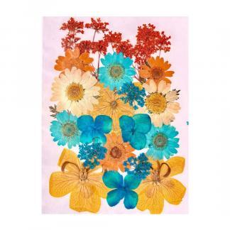 20 in 1 Pressed Flower For Resin Art