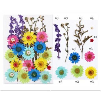 32 In 1 Pressed Flowers Fl106