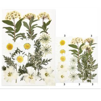 15 In 1 Pressed Flowers Fl035