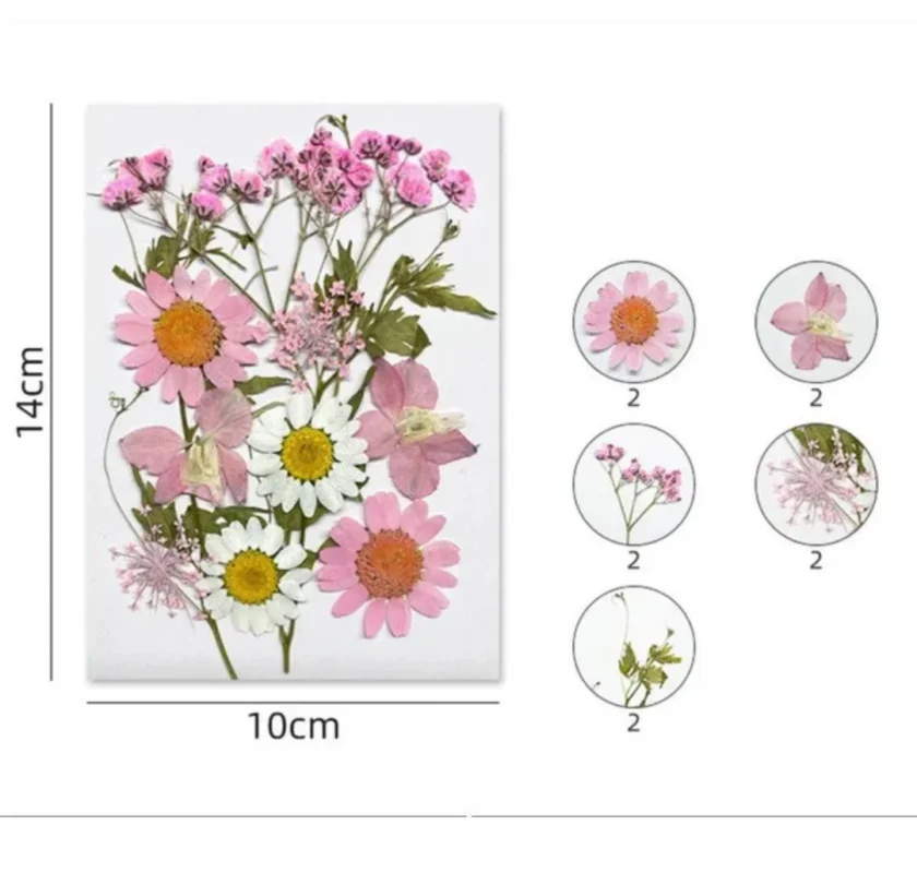 12 in 1 Multicolor Pressed Flowers for Resin Art