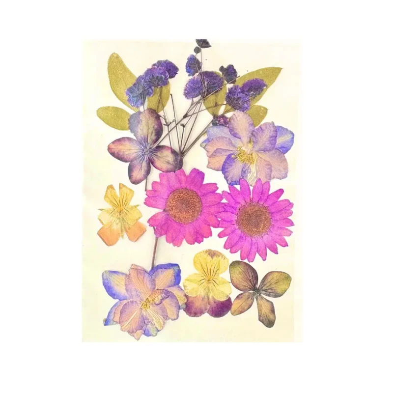 12 in 1 Pressed Multi Flower for Resin Art