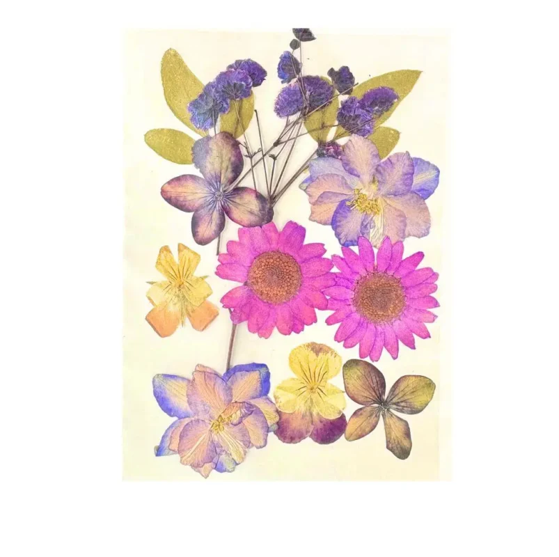 12 in 1 Pressed Multi Flower for Resin Art