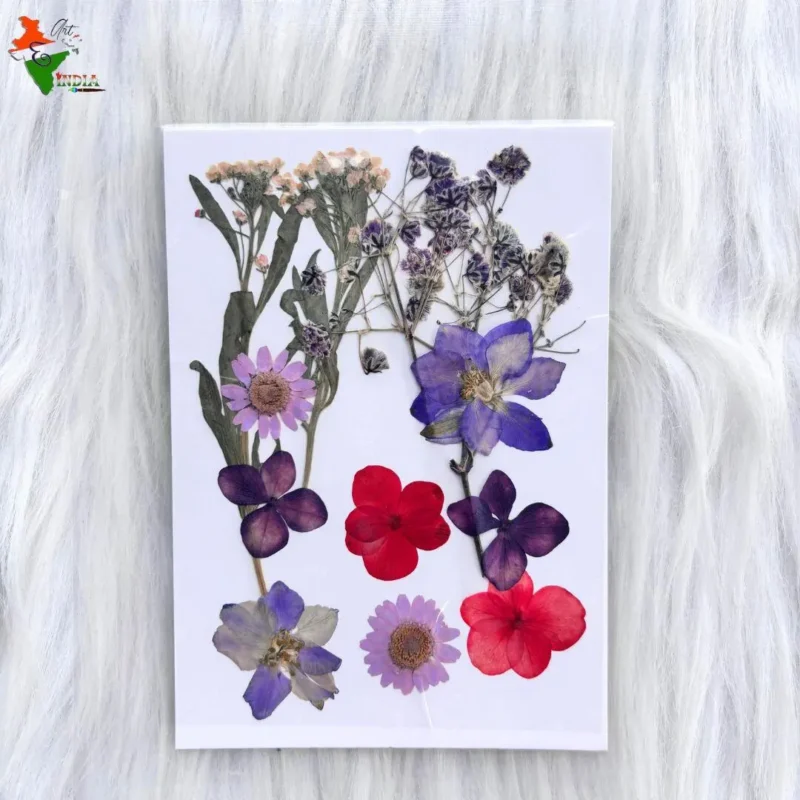 12 in 1 Multi Pressed Dry Flower for Resin Art