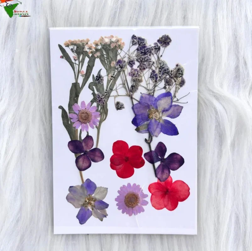 12 in 1 Multi Pressed Dry Flower for Resin Art