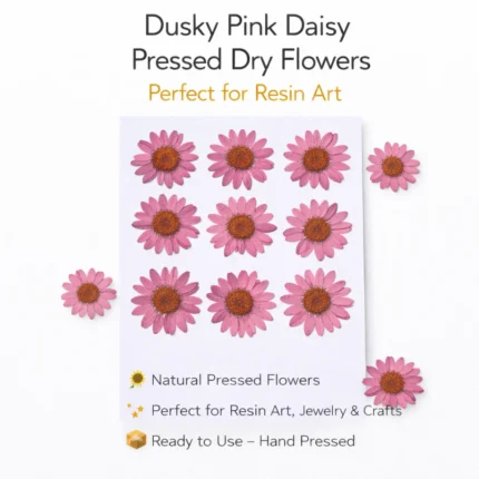 Dusky Pink Daisy Pressed Dry Flower for Resin Art