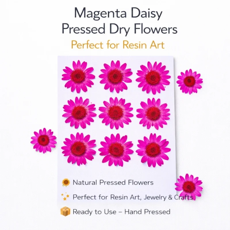 Magenta Daisy Pressed Dry Flower for Resin Art