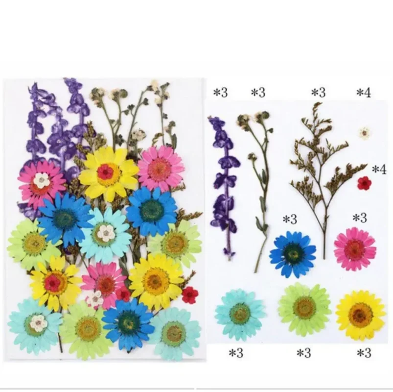 32 In 1 Pressed Flowers Fl106 for resin art