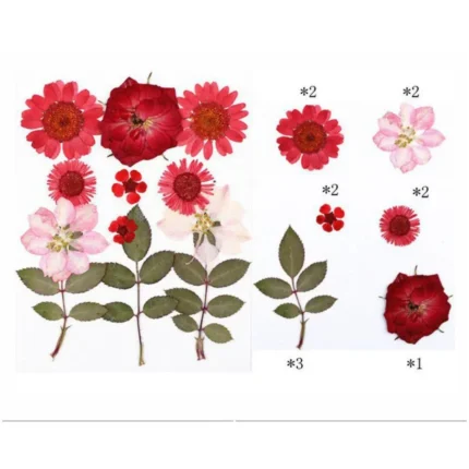 12 In 1 Pressed Flowers for resin art