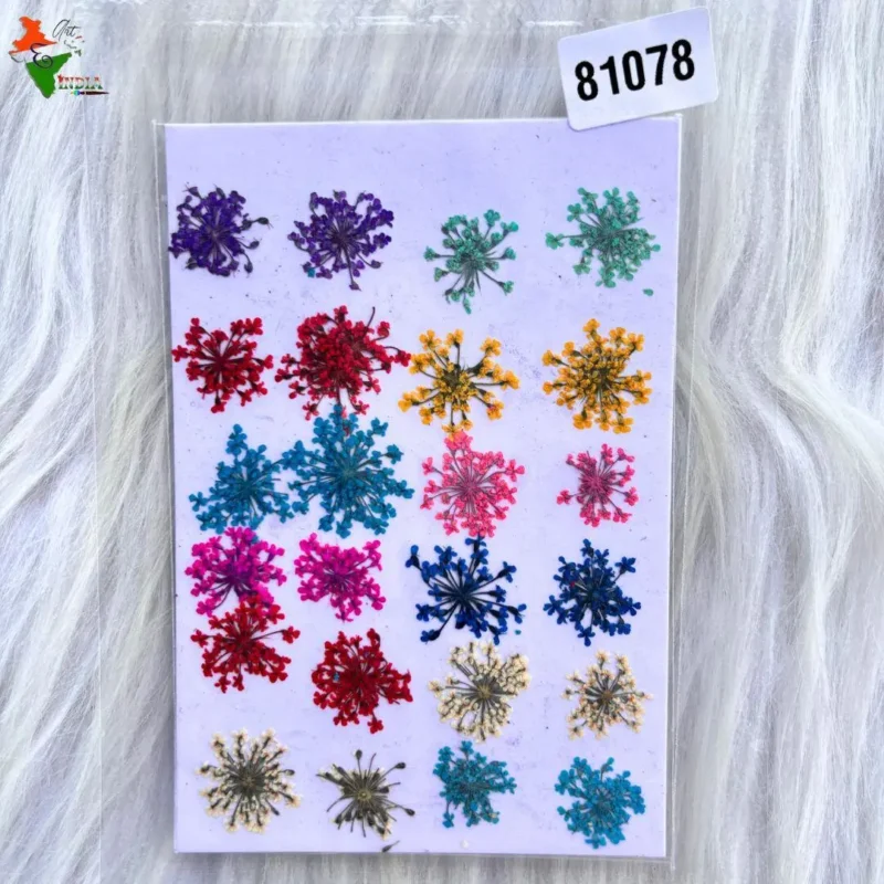 24 In 1 Multy Pressed Dry Flower For Resin Art