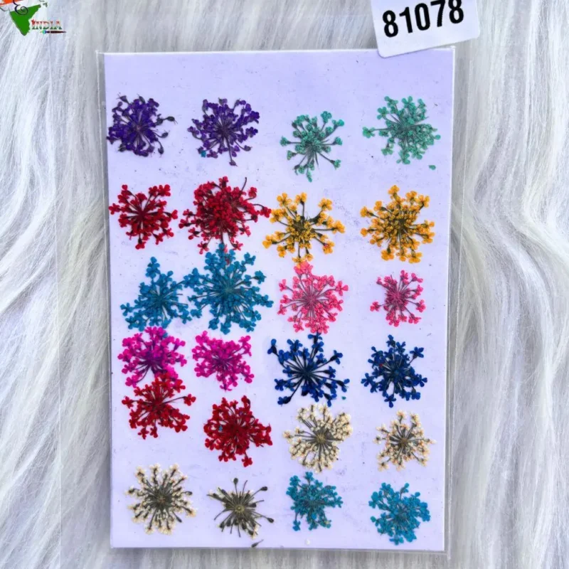 24 In 1 Multy Pressed Dry Flower For Resin Art