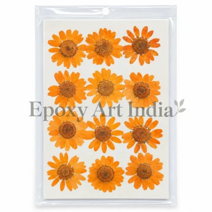 LIGHT ORANGE DAISY DAISY PRESSED DRY FLOWER
