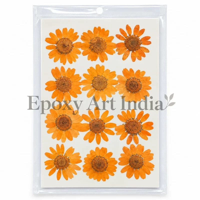 LIGHT ORANGE DAISY DAISY PRESSED DRY FLOWER