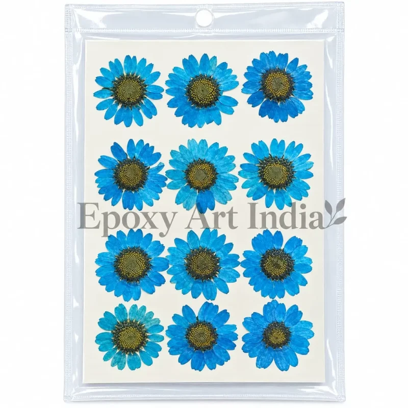 Ink Blue Daisy Pressed Dry Flower for Resin Art