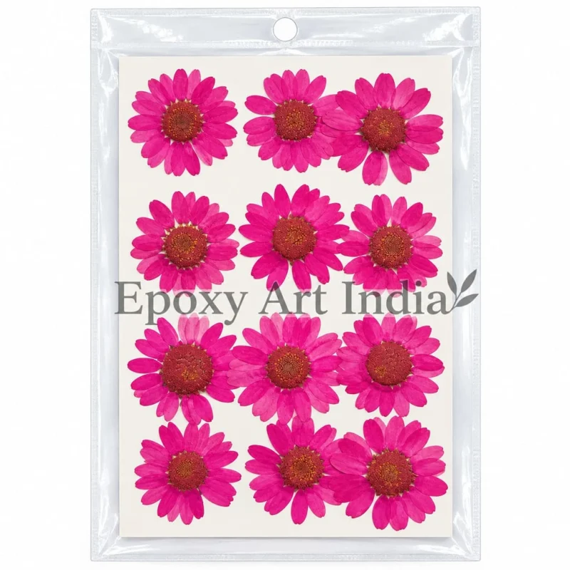 Light Pink Daisy Pressed Dry Flower for Resin Art