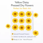 Yellow Daisy Pressed Dry Flower for Resin Art