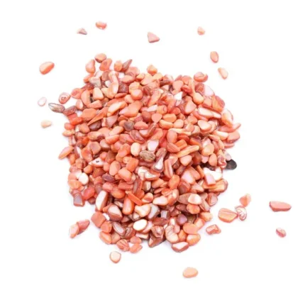 Shell Stone Granules for Resin Art – Natural Decorative Fillers for DIY Epoxy Crafts