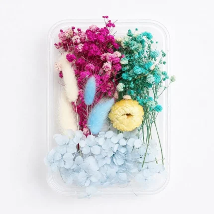 Pink & Blue Dried Flower Box for Resin Art
