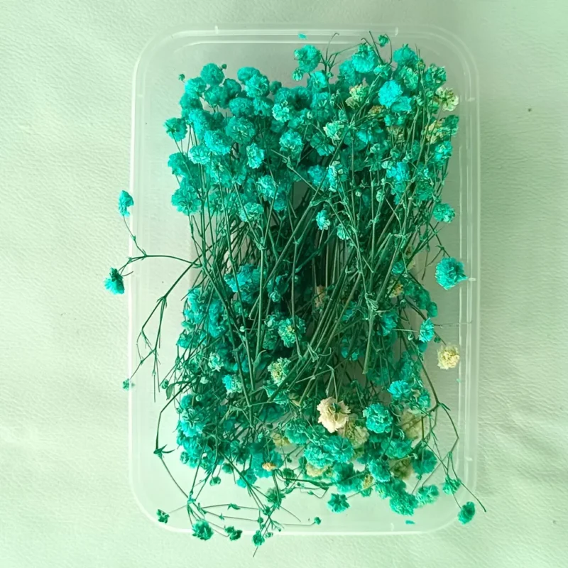 Sea Green Gipsy Dry Flower Box for Resin Art