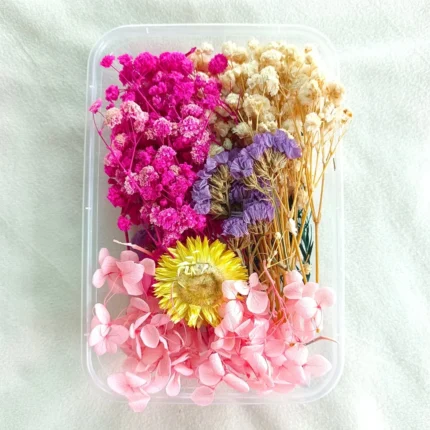 Pink & White Dried Flower Box for Resin Art & DIY Crafts
