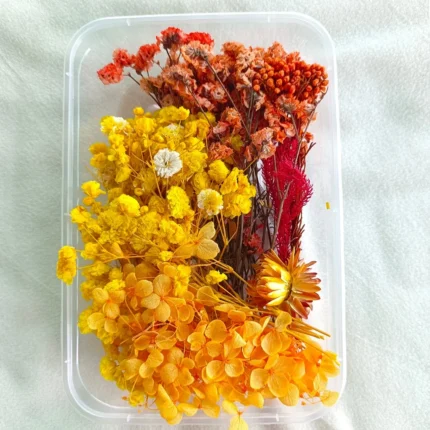 Yellow & Orange Dried Flower Box for Resin Art & DIY Crafts