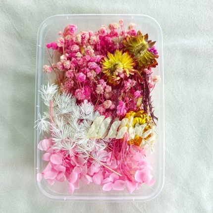 Baby Pink Shade Dry Flower Box for Resin Art & DIY Crafts