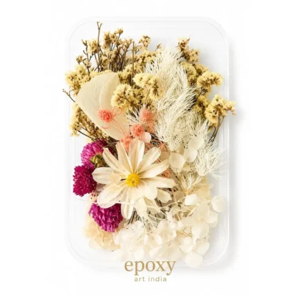 White & Baby Pink Shade Dry Flower Box for Resin Art & DIY Crafts