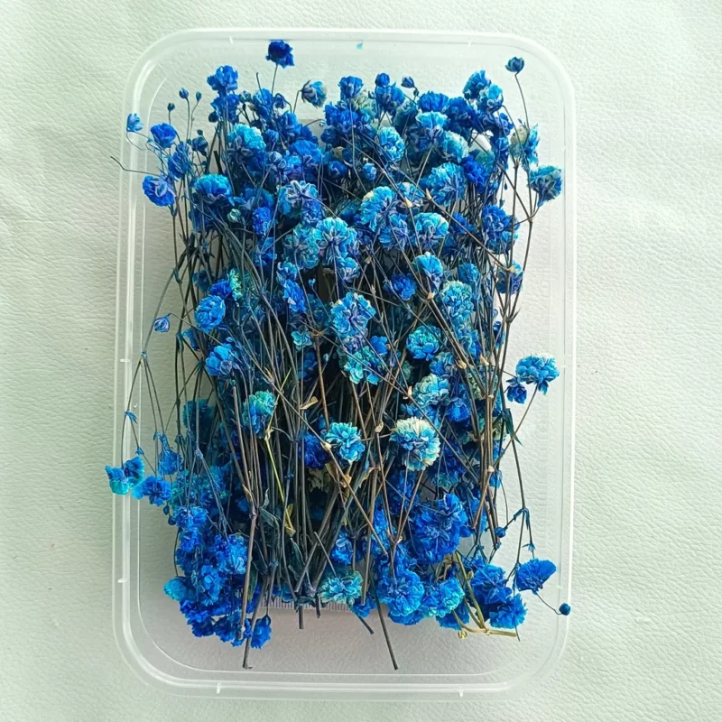 Blue Gipsy Dry Flower Box for Resin Art