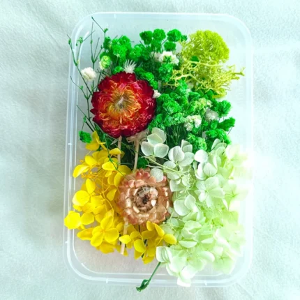 Green Dried Flower Box for Resin Art