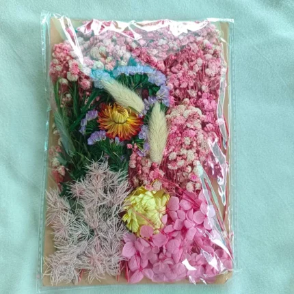 Light Pink Dry Flower Packet for Resin Art