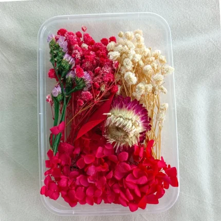 Red & White Dried Flower Box for Resin Art & DIY Crafts