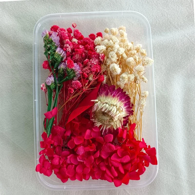 Red & White Dried Flower Box for Resin Art & DIY Crafts