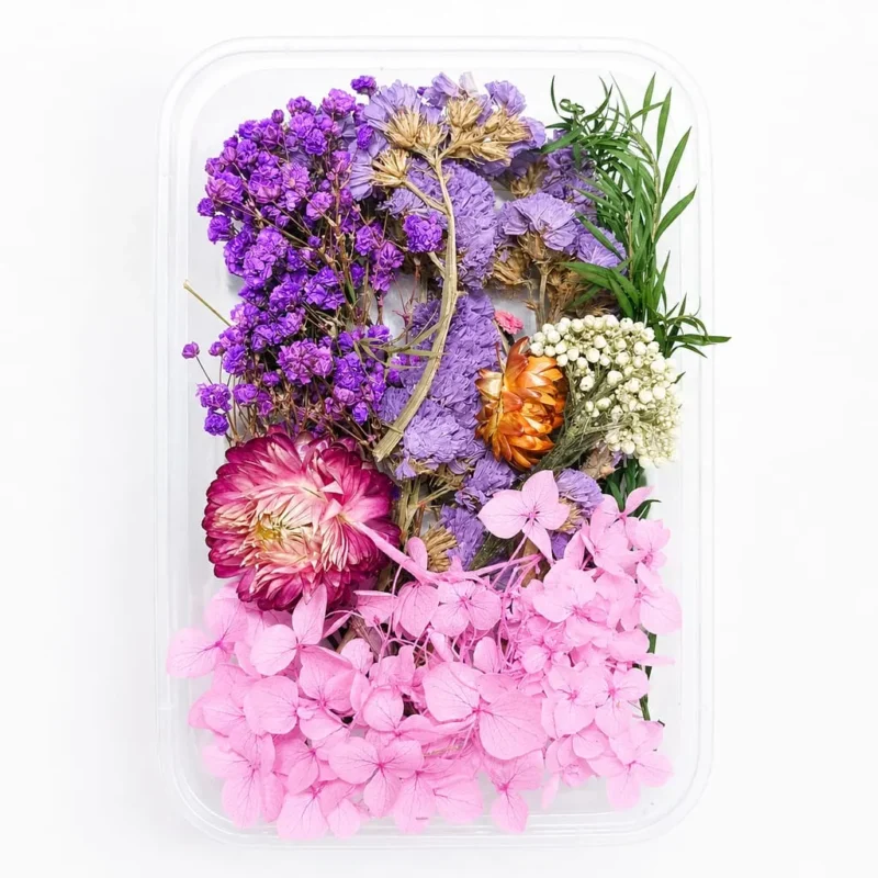 Purple Dried Flower Box for Resin Art