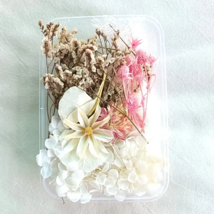 White & Baby Pink Shade Dry Flower Box for Resin Art & DIY Crafts