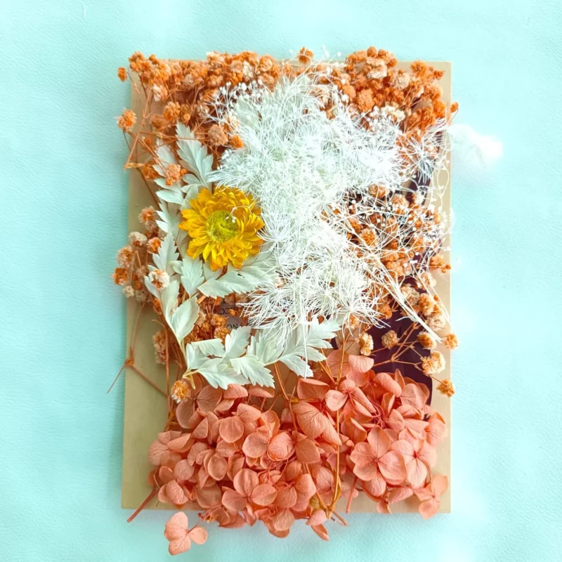 Orange Mix Dry Flower Packet for Resin Art