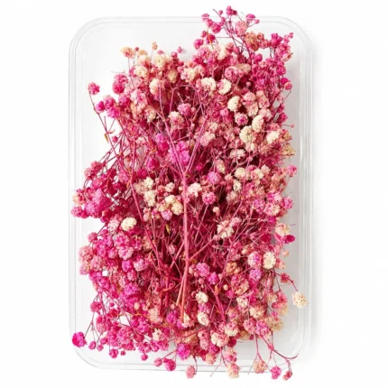Light Pink Gipsy Dry Flower Box for Resin Art