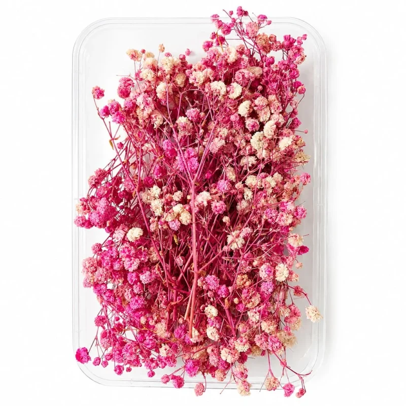 Light Pink Gipsy Dry Flower Box for Resin Art