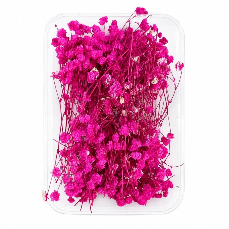 Dark Pink Gipsy Dry Flower Box for Resin Art