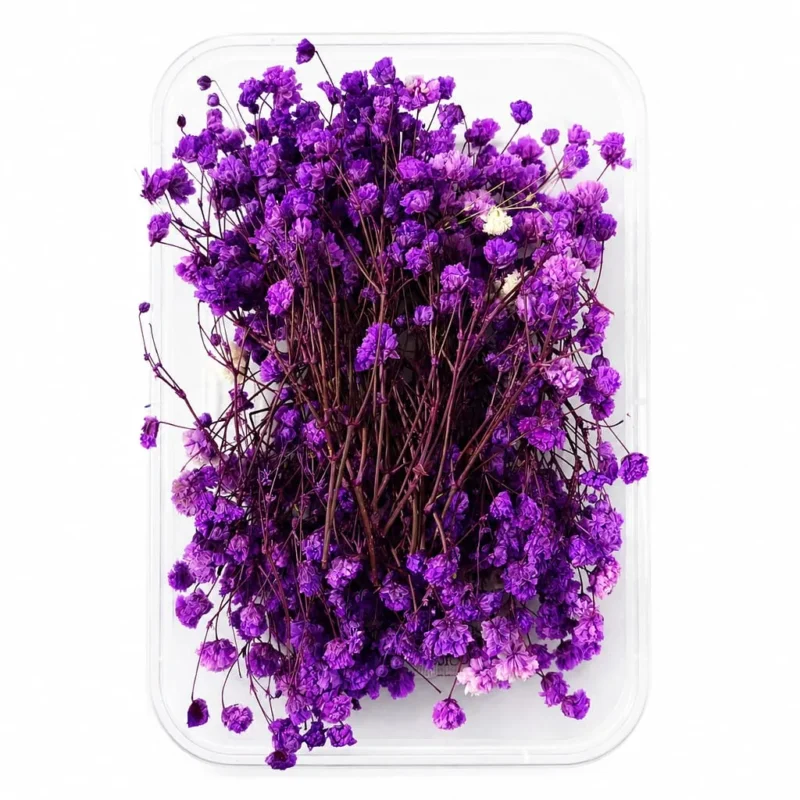 Purple Gipsy Dry Flower Box for Resin Art