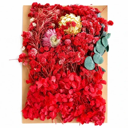 Red Dry Flower Packet for Resin Art
