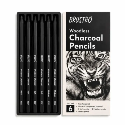 Brustro Woodless Charcoal Pencil
